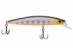 Globefish Minnow